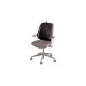 Fellowes - back support Office Suites