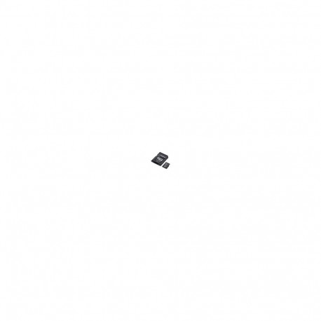 Kingston Technology High Endurance 64 GB MicroSD UHS-I Class 10