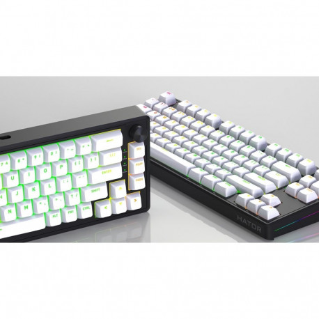 HATOR juhtmega mänguklaviatuur Skyfall 65 MAG Ultra 8K, USB, Aurum Ice magnetilised lineaarsed lülit