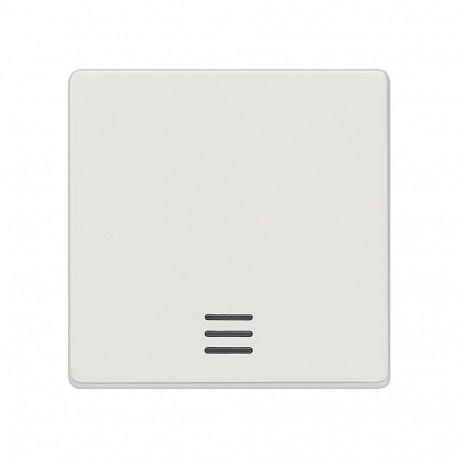 "Siemens 5TG6200 DELTA i-system Wippe m.Fenster 55x55mm titanwei"