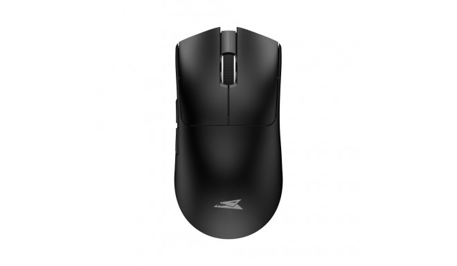 Baracuda MORAY BGM-131, Black