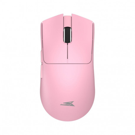 Baracuda MORAY BGM-133, Pink