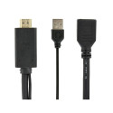 Gembird A-HDMIM-DPF-01 video cable adapter 0.1 m HDMI Type A (Standard) DisplayPort + USB Type-A Bla