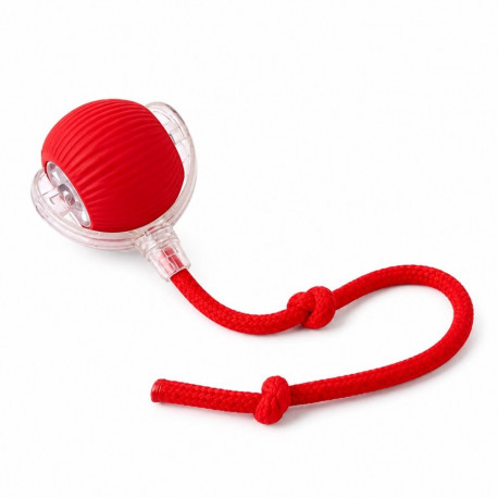 Tessa self-moving interactive ball with string for cats