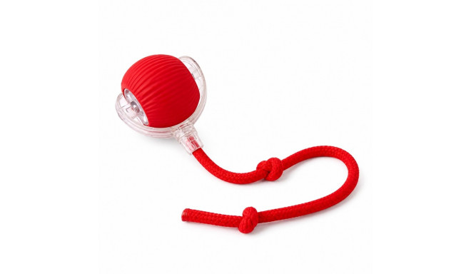Tessa self-moving interactive ball with string for cats