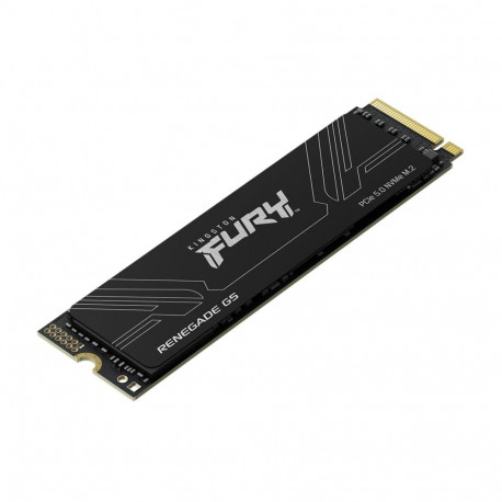 Kingston Technology 1T FURY RENEGADE G5 M.2 2280 NVMe SSD