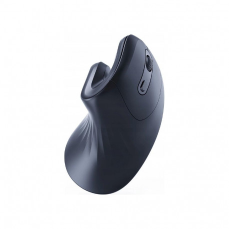 Ergonoomiline hiir 6 musta nupuga