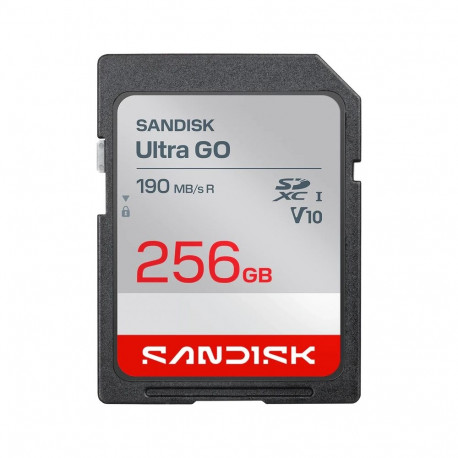 SanDisk välkmälukaart Ultra GO 256