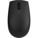 Lenovo 300 black wireless Mouse