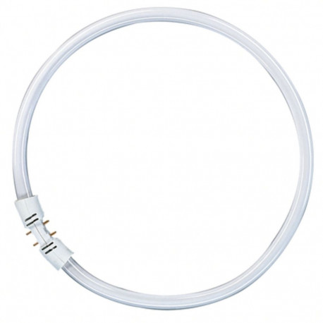 "Osram Leuchtstoff Ringlampe T5 FC40W 830 2GX13 Circular"