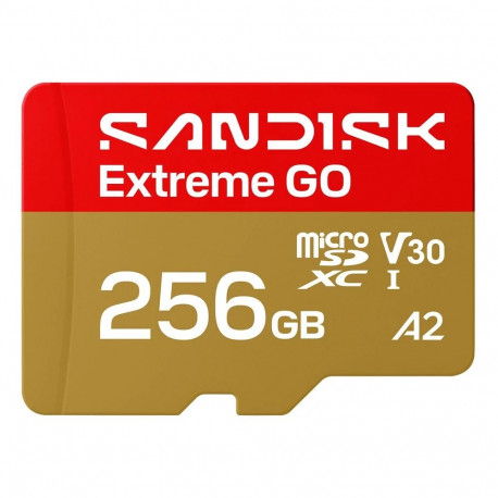 SanDisk välkmälukaart Extreme Go 256