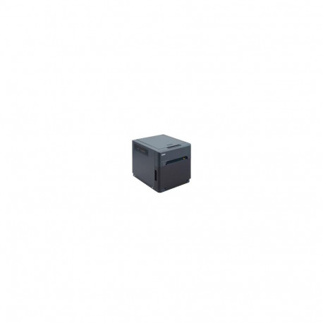 DNP Photo Imaging DP-QW410 photo printer Dye-sublimation 300 x 300 DPI 4" x 6" (10x15 cm)