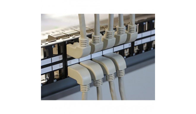 DeLOCK 43280 patch panel 2U