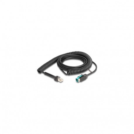 DeLOCK Coiled Cable RJ50 male to PoweredUSB male 12 V 3 m black