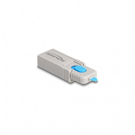 DeLOCK Locking Tool for Port Blocker