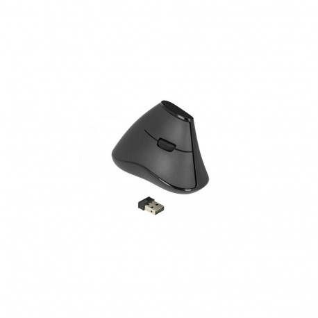 DeLOCK 12622 mouse Office Right-hand RF Wireless Optical 1000 DPI