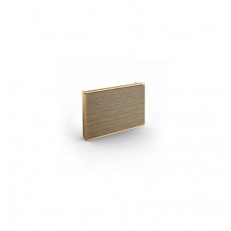 Bang & Olufsen Beosound Level Gold