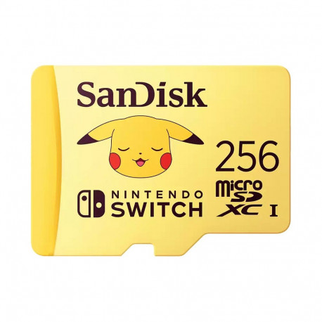 "- Flash-Speicherkarte - 256 GB - Video Class V30 / UHS-I U3 - microsdxc UHS-I"