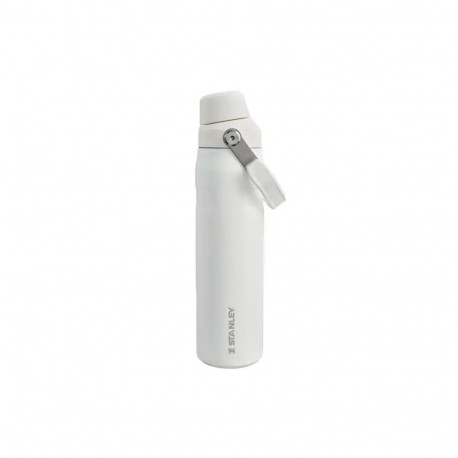 The Aerolight IceFlow Water Bottle Fast Flow 0,6L Frost (white)
