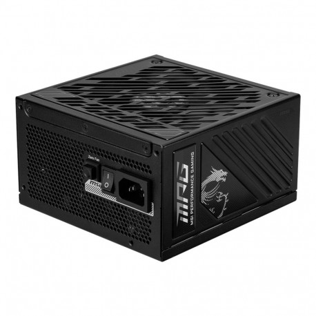 MSI toiteplokk MPG A1250GS PCIE5 1250W 20+4 pin ATX ATX, must