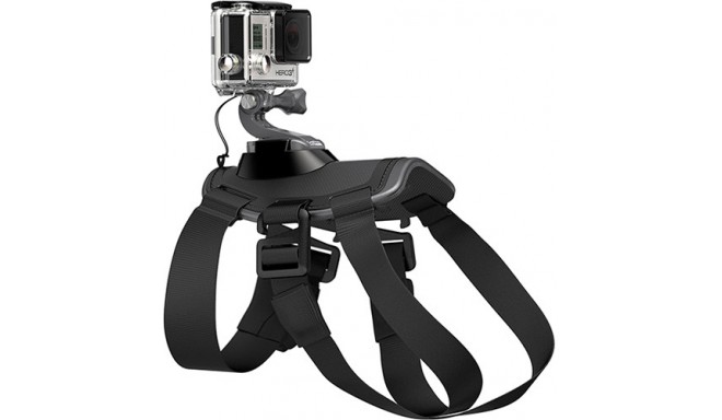 GoPro Fetch (dog harness)