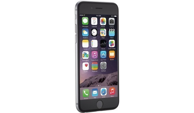 Apple iPhone 6 16GB A1586, серый