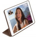 Apple iPad Air 2 Smart Case, pruun
