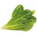 Click & Grow Smart Garden refill Romaine Lettuce 3pcs