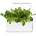 Click & Grow Smart Garden refill Romaine Lettuce 3pcs