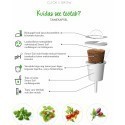 Click & Grow Smart Garden refill Kääbusbasiilik 3tk