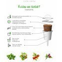 Click & Grow Smart Garden refill Punane lehtkapsas 3tk