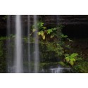Pentax K-S2 + DA 18-135 WR Kit must