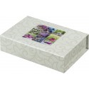 Hama photo box Idyll 100 (1863)
