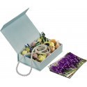 Hama photo box Idyll 100 (1863)