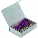 Hama photo box Idyll 100 (1863)