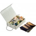 Hama photo box Idyll 100 (1863)