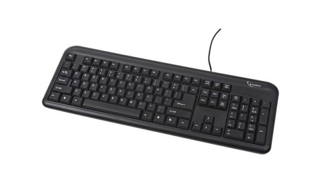 Standard keyboard, PS/2, US layout, black