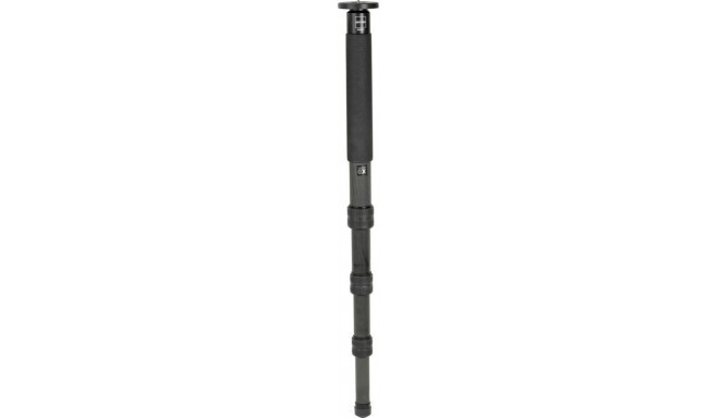 Gitzo monopod GM5541