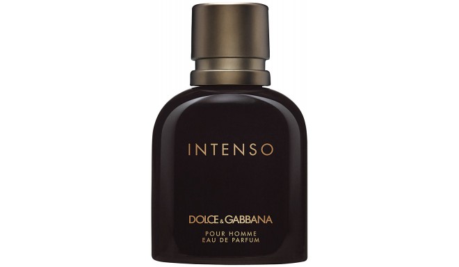 Dolce&Gabbana Intenso Pour Homme Eau de Parfum 40ml